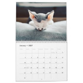Knippers voor wandkalender foto's kalender (Jan 2027)