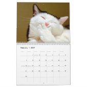Knippers voor wandkalender foto's kalender (Feb 2027)