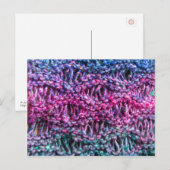 Knitting briefkaart - hete roze, blauw, groen (Voorkant / Achterkant)