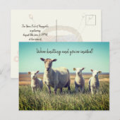 Knitting Club Lambs Sheep Invitation Briefkaart (Voorkant / Achterkant)