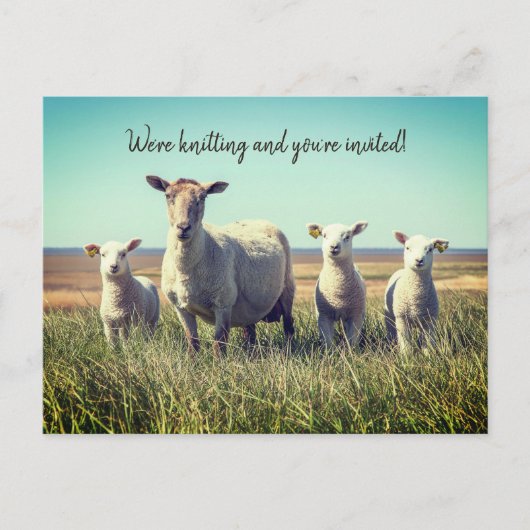 Knitting Club Lambs Sheep Invitation Briefkaart (Voorkant)