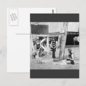 Knitting Venice Lifeguards, begin jaren 1900 Briefkaart (Voorkant / Achterkant)