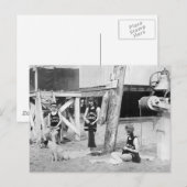 Knitting Venice Lifeguards, begin jaren 1900 Briefkaart (Voorkant / Achterkant)