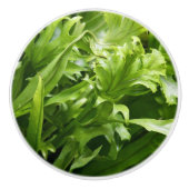 Knob - Fishtail Fern Keramische Knop (Voorkant)