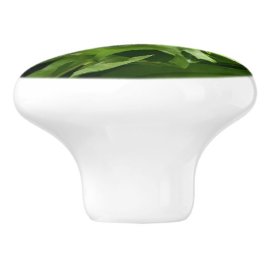 Knob - Fishtail Fern Keramische Knop (Zijkant)