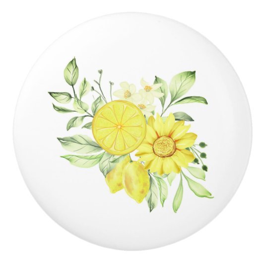 Knob-leemons keramisch kastje keramische knop (Voorkant)