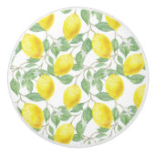 Knob-leemons voor keramisch kabinet keramische knop (Voorkant)