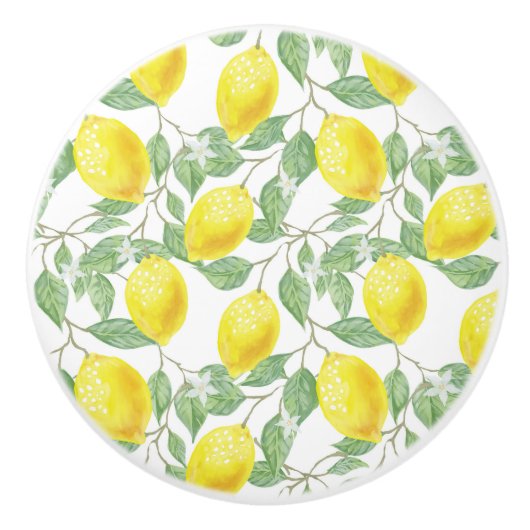 Knob-leemons voor keramisch kabinet keramische knop (Voorkant)