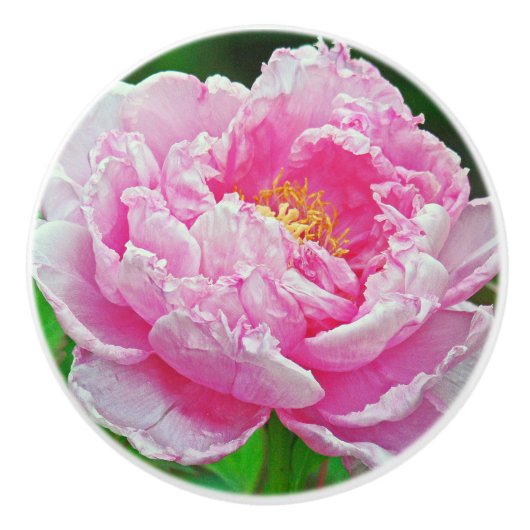 KNOB/PINK PEONY KERAMISCHE KNOP (Voorkant)