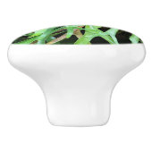 Knob - Staghorn Fern Keramische Knop (Zijkant)