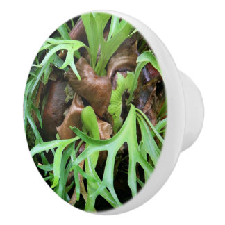 Knob - Staghorn Fern Keramische Knop