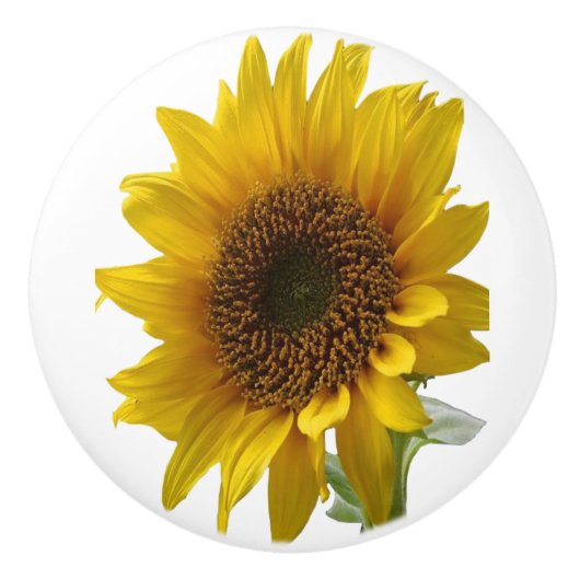 Knob Sunflower Keramische Knop (Voorkant)
