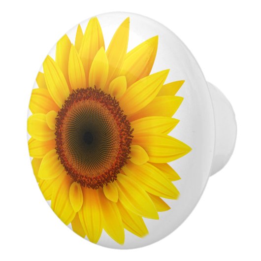 Knob-zonnebloem, kast voor keramisch gebruik keramische knop (Rechts)