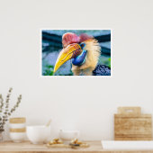 Knobbed Hornbill Poster (Keuken)