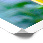 Knobbed Hornbill Poster (Hoek)