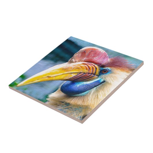 Knobbed Hornbill Tegeltje (Zijkant)