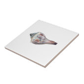Knobbed Whelk Shell Tegeltje (Zijkant)