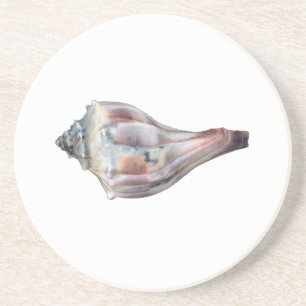 Knobbed Whelk Shell Zandsteen Onderzetter