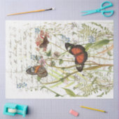 knobbel tissuepapier (Craft)