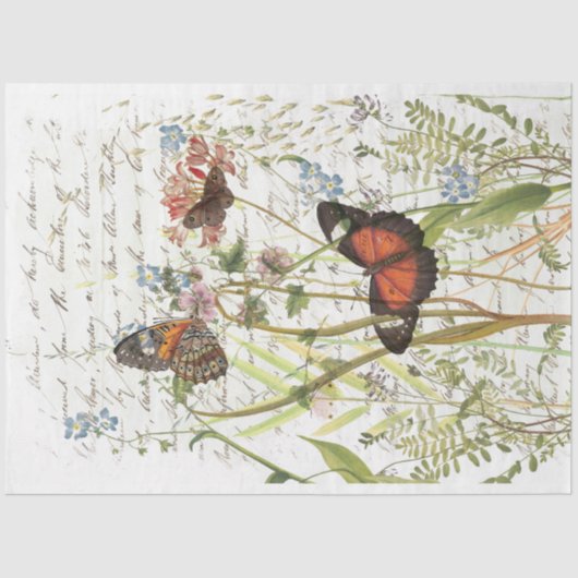 knobbel tissuepapier (Voorkant)