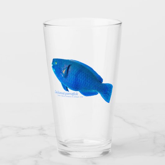 Knobbelsnuit papegaaivis Glas Cup (Voorkant)