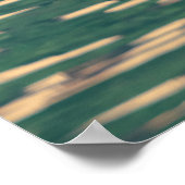 Knobbelzwaan Poster (Hoek)