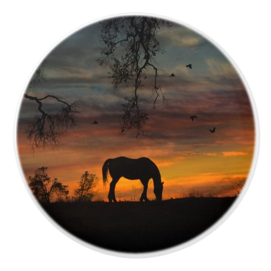 Knobs en pulls decor van het zuidwesten keramische knop (Voorkant)