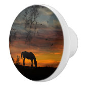 Knobs en pulls decor van het zuidwesten keramische knop (Rechts)