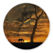 Knobs en pulls van het zuidwesten keramische knop (Voorkant)