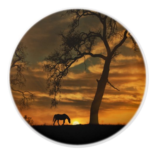 Knobs en pulls van het zuidwesten keramische knop (Voorkant)