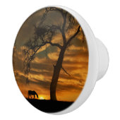 Knobs en pulls van het zuidwesten keramische knop (Rechts)