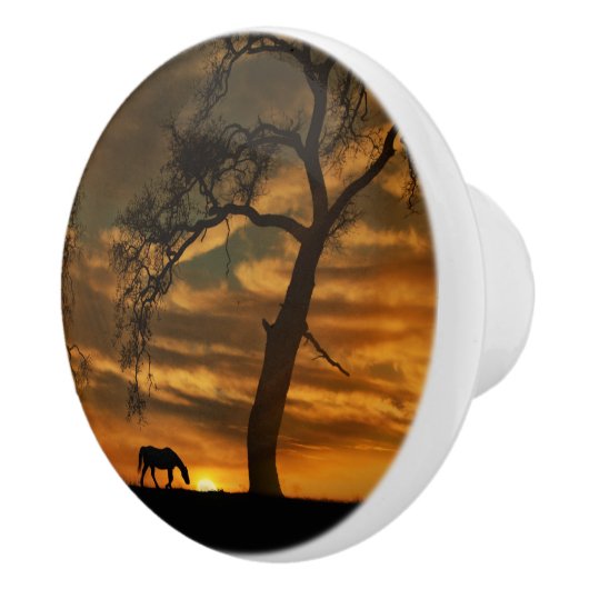 Knobs en pulls van het zuidwesten keramische knop (Rechts)