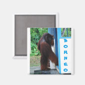 Knock Knock Buurt Vrienden Borneo Magneet (Voorkant / Achterkant)