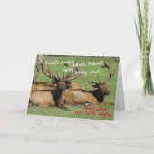 Knock Knock Holly-dagen - Kaart (Voorkant)