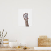 Knockleball. Poster (Keuken)