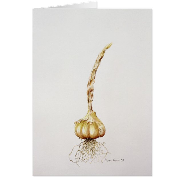 knoflook 1998 (Voorkant)