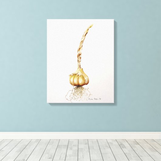 knoflook 1998 canvas afdruk (Insitu (Houten vloer))