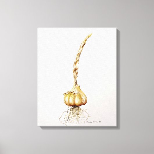 knoflook 1998 canvas afdruk (Voorkant)