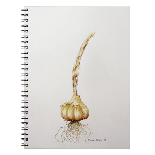 knoflook 1998 notitieboek (Voorkant)