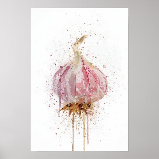 Knoflook Bol Groente Poster (Voorkant)