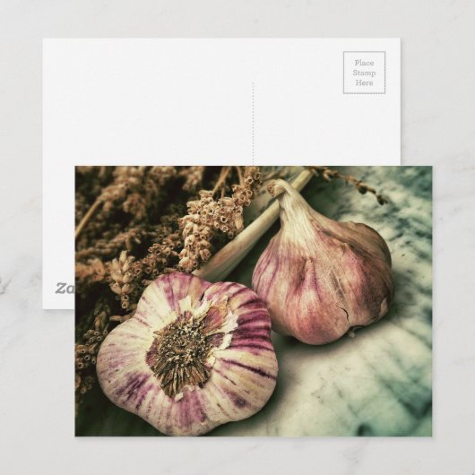  knoflook briefkaart (Voorkant / Achterkant)