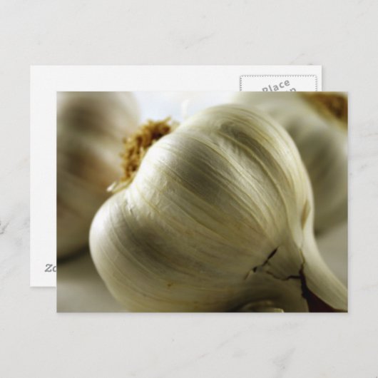 Knoflook Briefkaart (Voorkant / Achterkant)