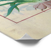 Knoflook en andere planten poster (Hoek)