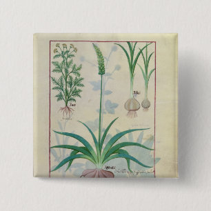 Knoflook en andere planten vierkante button 5,1 cm