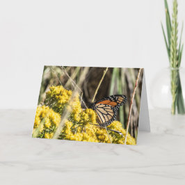 Knoflook en boerenkool kaart