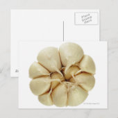 Knoflook, geïsoleerd op witte achtergrond, DFF-afb Briefkaart (Voorkant / Achterkant)