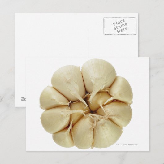 Knoflook, geïsoleerd op witte achtergrond, DFF-afb Briefkaart (Voorkant / Achterkant)