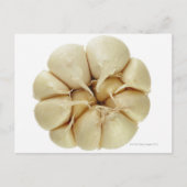 Knoflook, geïsoleerd op witte achtergrond, DFF-afb Briefkaart (Voorkant)