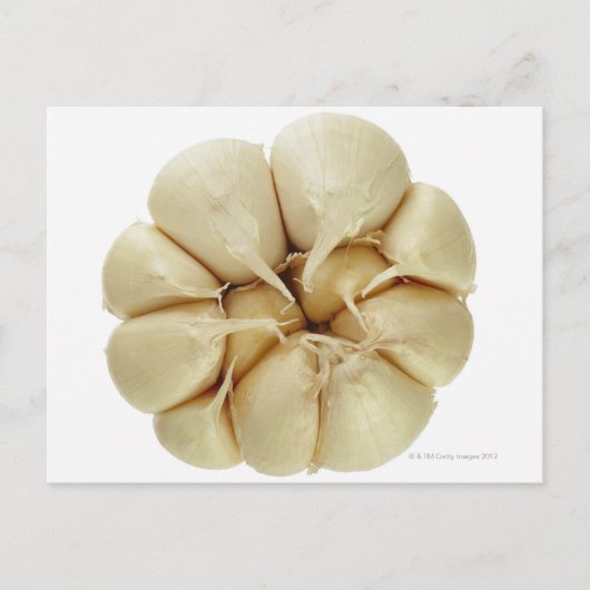 Knoflook, geïsoleerd op witte achtergrond, DFF-afb Briefkaart (Voorkant)