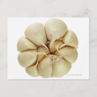 Knoflook, geïsoleerd op witte achtergrond, DFF-afb